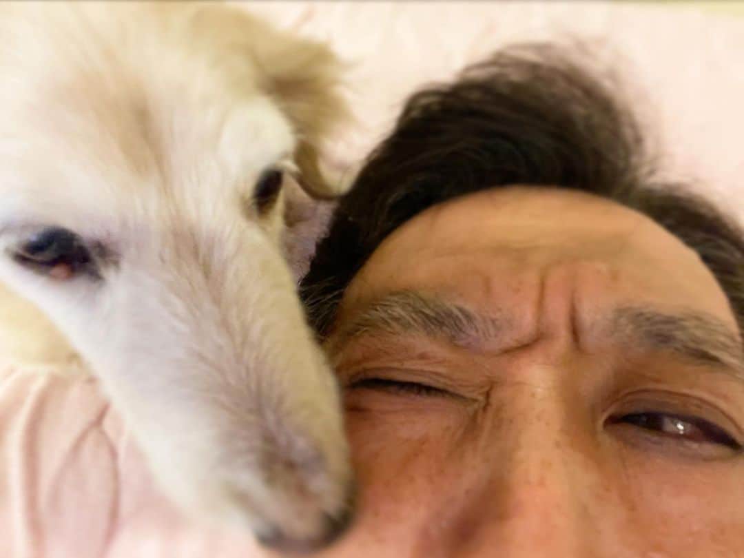 大鶴義丹さんのインスタグラム写真 - (大鶴義丹Instagram)「飼い犬に頬を噛まれた！」6月20日 23時16分 - gitan.ohtsuru
