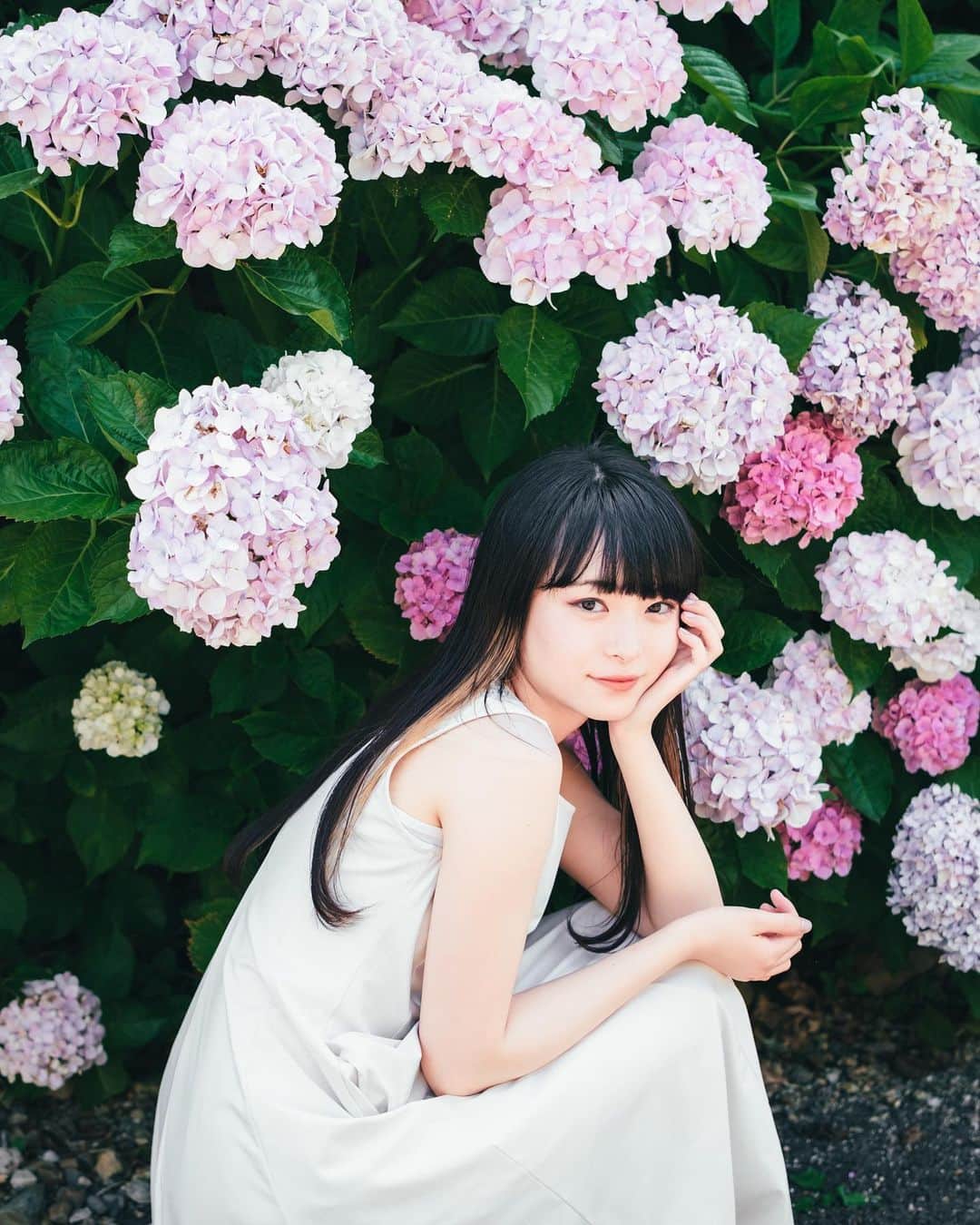 Yuma Takatsukiのインスタグラム：「. . . hydrangea . . . . . . 親知らず抜歯したところがだいぶ腫れてきた。 痛みは下の時よりは断然ましなんやね。 ⁡ そんなことより紫陽花とらららあやちゃんが とても良いのでみてね。 ⁡ それでは今日もお疲れさまでした！ . Japan X-T5／XF33mmF1.4 WR, XF56mmF1.2 WR . -----------------------------------------  ITTOKO写真展『ほな、いっとこ！』 vol.4 　　　　　　　　　　　　　　　〜FIND〜  会期 : 2023.06.28(水)〜07.03(月) 時間 : 12:00〜20:00 　　　(初日は14:00~,最終日は18:00迄) 場所 : イロリムラ 2F 〒 530-0016 大阪府大阪市北区中崎1丁目4番15号  ----------------------------------------- . #fujifilm  #fujifilm_xseries  #富士フイルム  . ―――――――――――――――――――――――――― 関西を中心にフリーランスで活動しています。 Web広告、個人撮影、家族撮影、PR撮影など、 6月以降の撮影依頼募集中です。 ⁡ ⁡Yuma Takatsukiオリジナルプリセットも販売中です。 ⁡プロフィールのポートフォリオサイトからご覧下さい。  またフォトサークルITTOKOという活動をしています。 ⁡ハイライトに色んなイベントをまとめています。 ――――――――――――――――――――――――――」
