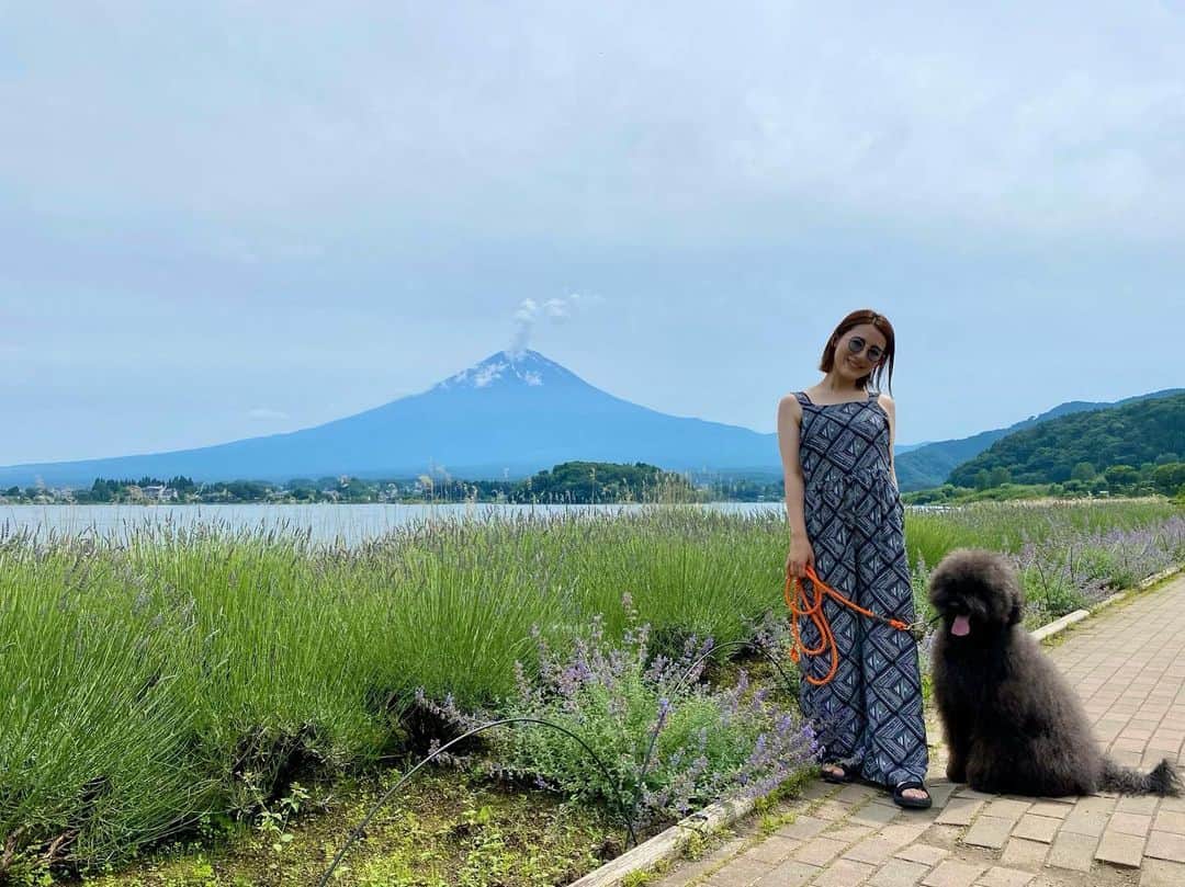 福田彩乃のインスタグラム：「. 河口湖✨🗻 この時はまだ知らない この後の帰り道、渋滞で5時間半もかかるなんて🙃 🐨「俺ら今日大阪行った？」 みんなおつかれ🥲」