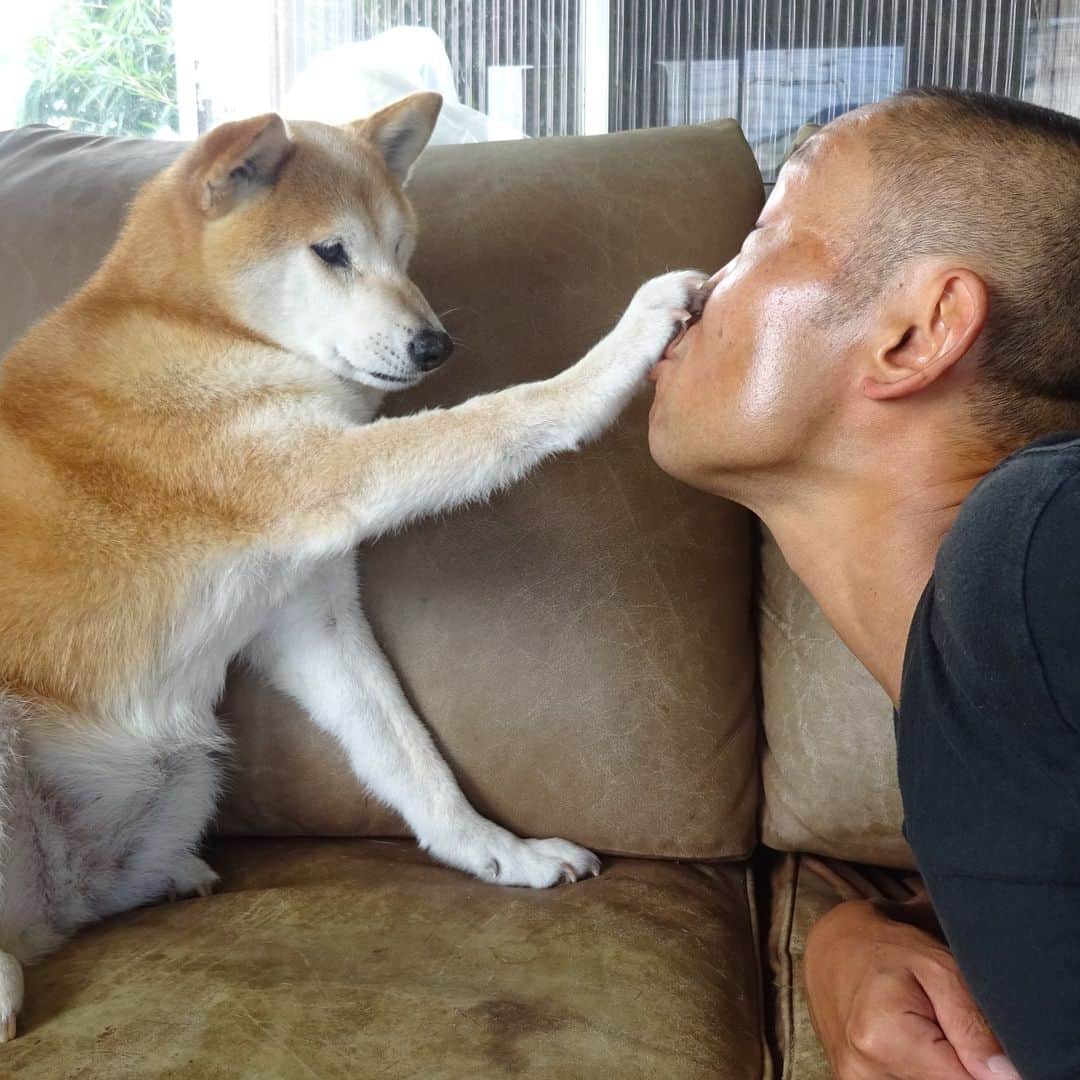 inosemarineのインスタグラム：「『柴犬マリのしばしばい』を Amazon prime Videoで配信させていただいておりますが、 英語字幕の表示ができるようになりました。   アメリカ・イギリス版のAmazon prime Videoでも 英語字幕付きで配信がスタートしました。 ・アメリカ　https://www.amazon.com/dp/B0B8TK2ZNC ・イギリス　https://www.amazon.co.uk/dp/B0B8TJRSZ1」