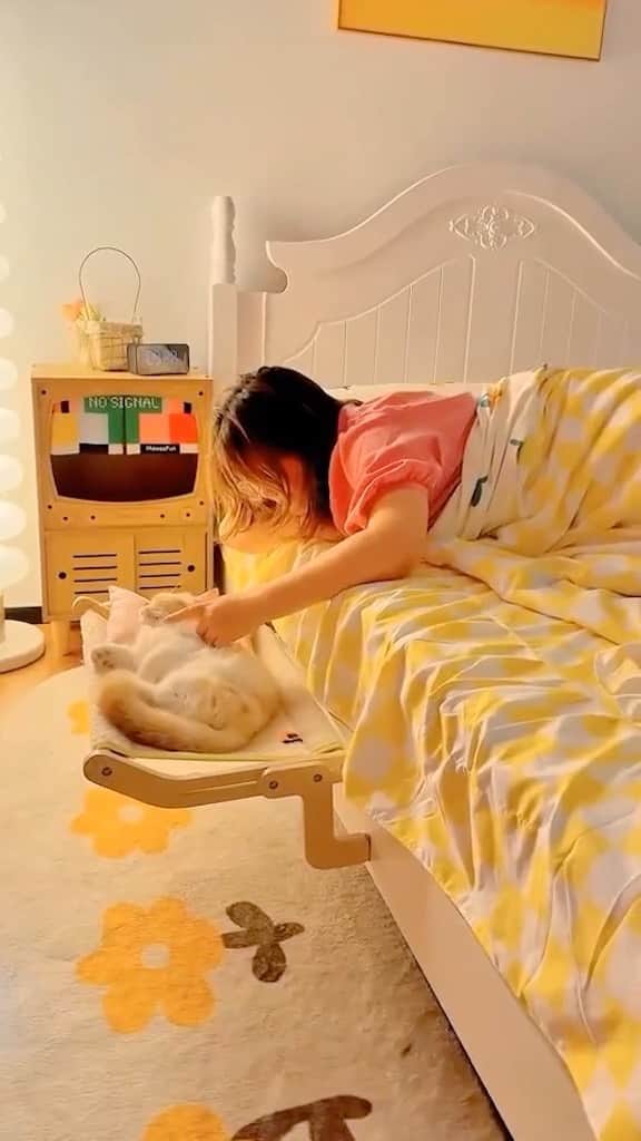 Cute Pets Dogs Catsのインスタグラム：「Sleep right next to your comfy kitty!  Only today 40% off 🎉  Link in our Bio @kittens_of_world  You can find all additional information on our 9Lives store.  #catsofinstagram #catlover #catlovers #gato #catsagram #caturday #cats_of_world #catsofworld #catselfie #catsdaily #catnip #catslove #catsuit #catsworld #catsforlife #catslifestyle #catsinstagram #catrules #catvideooftheday #catphotoshoot #caturdaynight #catventures #catvids」