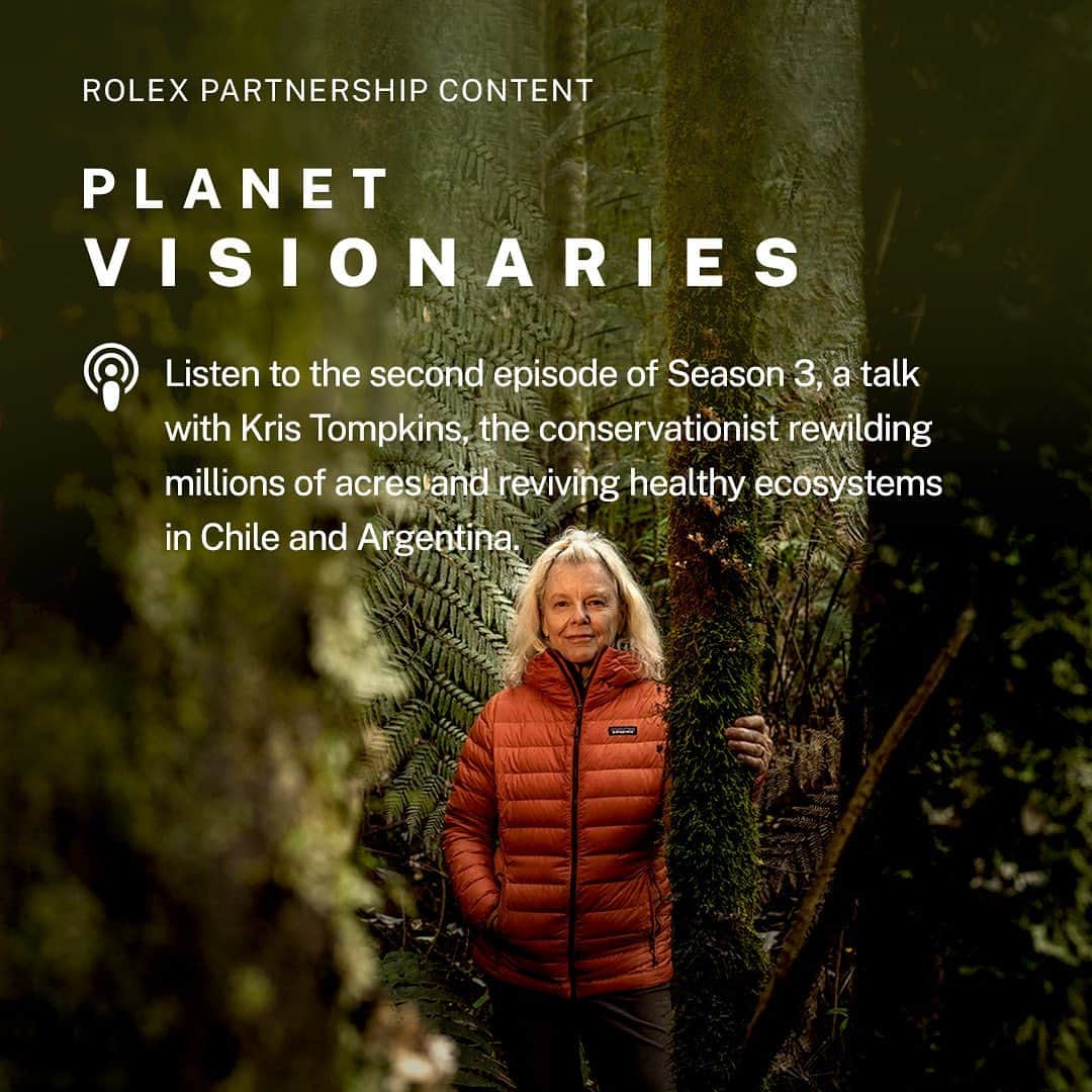 アレックス・オノルドのインスタグラム：「In the latest episode of Planet Visionaries, I chat with Kris Tompkins of @tompkins_conservation, who is leading an effort to rewild millions of acres and restore key species in South America. Click the link in my bio to listen. #RolexPartnershipContent @rolex #PerpetualPlanet」