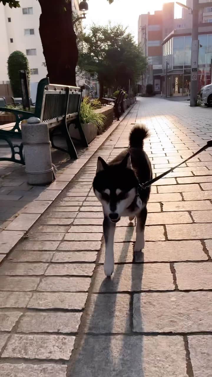 くろのグルメインスタ