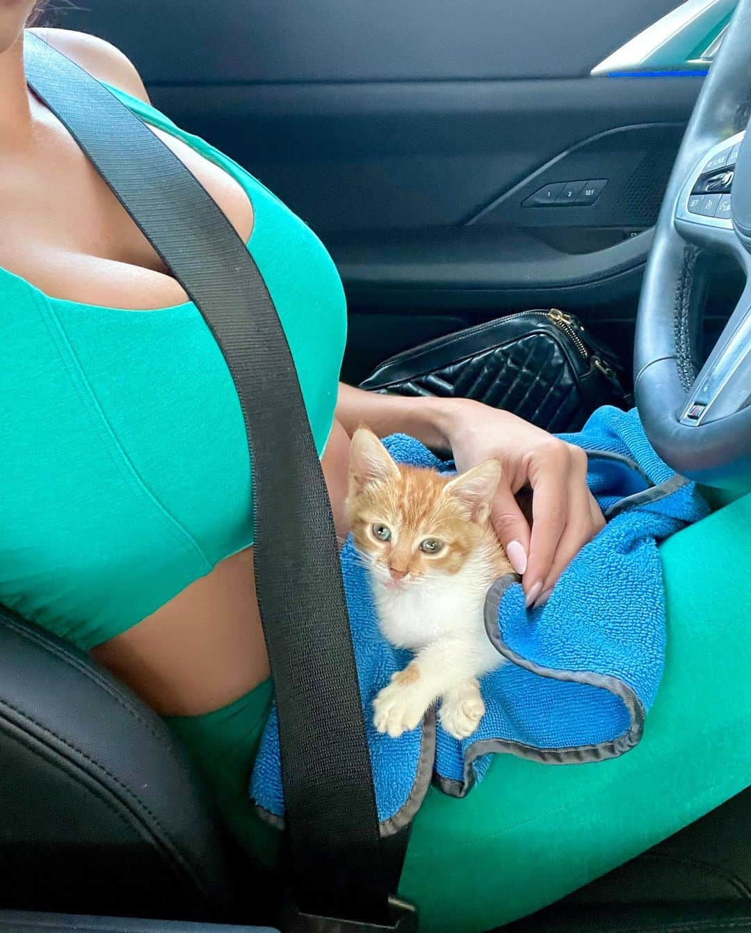 Melissa Risoさんのインスタグラム写真 - (Melissa RisoInstagram)「Mila is the new addition to my family. My world is complete now. I found her under my car in the middle of the night. She was covered in fleas. She was starving, weak, super skinny, and has worms. Brandon let me take the risk of keeping her, even though we have two big dogs. She connected to me right away and is my little miracle, which is what Mila means in Italian. 🐈  #cat #kitten #animallover #catlover」6月21日 8時21分 - melissariso