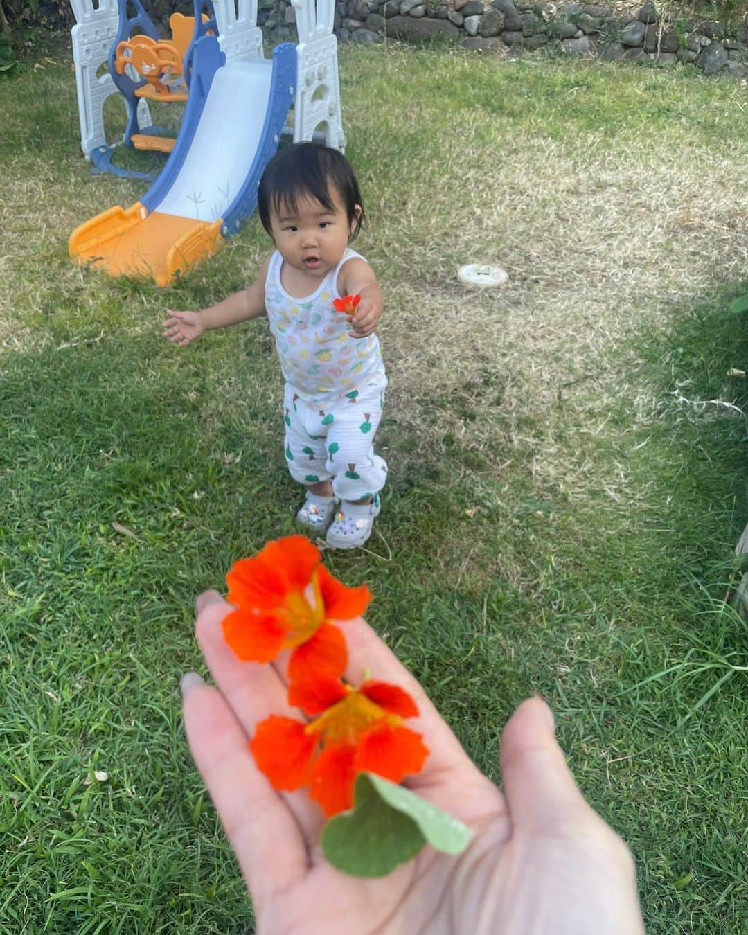 アーデン・チョーさんのインスタグラム写真 - (アーデン・チョーInstagram)「Love Mina so much @mijkatori @nanchatti super parents! So much love from this cutie, she picks flowers every morning with daddy to give to momma.. auntie got some of that love too. How precious is that?? I’ll miss tea time, naps, reading & even crying cuddles!」6月21日 8時57分 - arden_cho