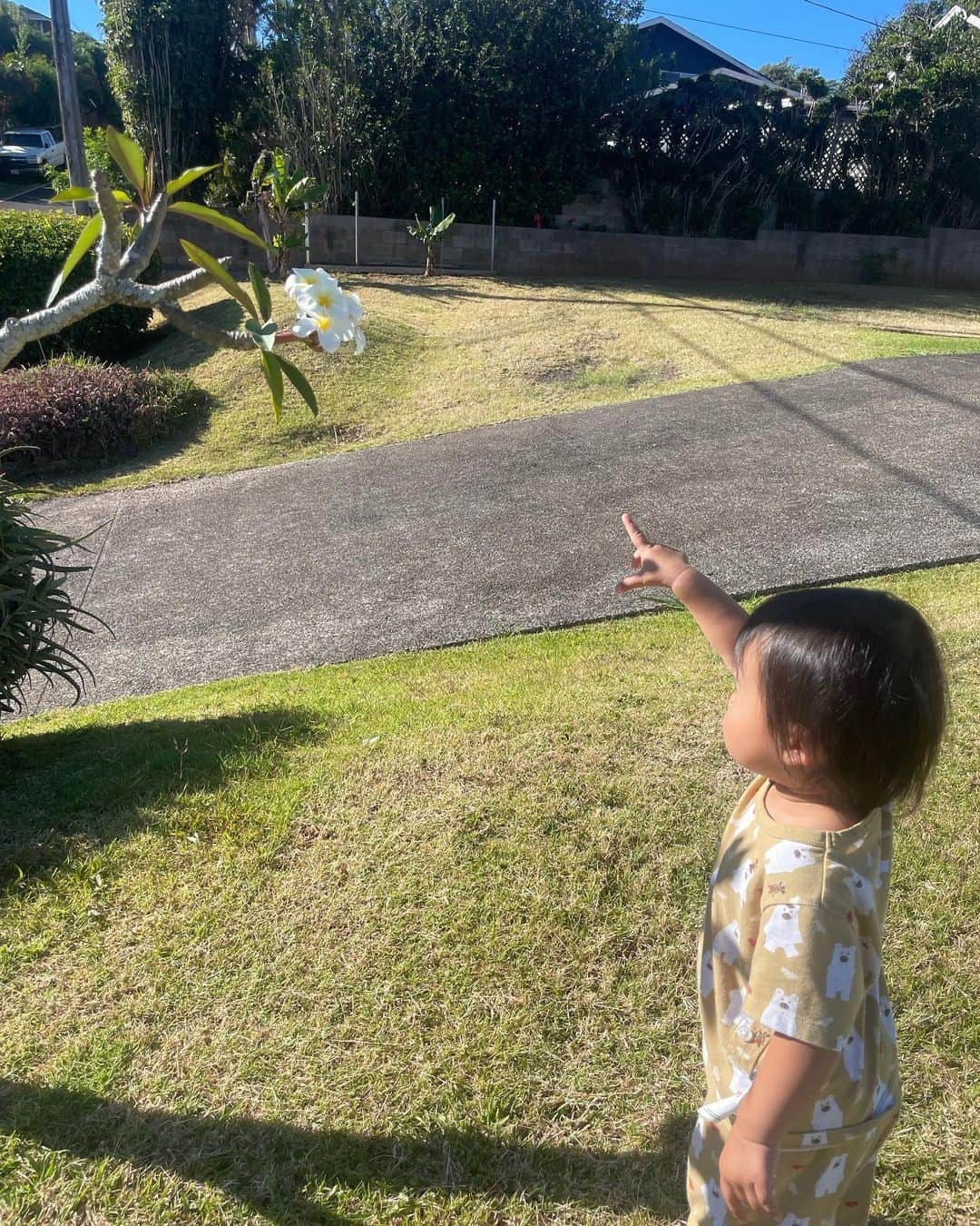 アーデン・チョーさんのインスタグラム写真 - (アーデン・チョーInstagram)「Love Mina so much @mijkatori @nanchatti super parents! So much love from this cutie, she picks flowers every morning with daddy to give to momma.. auntie got some of that love too. How precious is that?? I’ll miss tea time, naps, reading & even crying cuddles!」6月21日 8時57分 - arden_cho