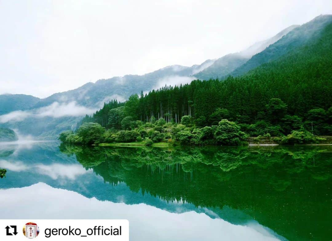 Gero City【下呂市公式アカウント】さんのインスタグラム写真 - (Gero City【下呂市公式アカウント】Instagram)「#Repost @geroko_official with @use.repost ・・・ 2023.6.21 夏至  今日は【夏至】  〜乃東枯〜 なつかれくさかるる  乃東は靫草(うつぼ草)の漢方名(夏枯草)のこと🌱 all-healと呼ばれすべてを癒やしてくれます🙂  いよいよ本格的な夏が到来しようとしています🌿  車窓から見るエメラルドグリーンが映える飛騨川と木々の景色は圧巻🌿  山紫水明の地、日本三名泉・飛騨路下呂温泉までお越しくださいませ🙇  #夏至 #二十四節気 #夏枯草 #山紫水明 #下呂温泉 #下呂市 #下原ダム #飛騨 #飛騨高山 #奥田又右衛門膏本舗 #下呂膏 #深緑 #エメラルドグリーン #朝霧 #リフレクション #リフレクションのある風景 #高山線 #jr東海 #飛騨のたばる箱 #gerostagram  #gifuphoto #gifuebooks #gifusta #hidatakayama #visit_tokai #visit_japan #japantravel #allheal #reflectiongram」6月21日 18時24分 - gerostagram