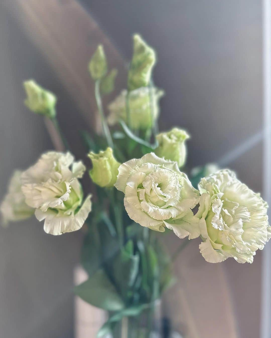 留奥麻依子のインスタグラム：「自分の機嫌の取り方🍃🕊 お家にお花を買って帰ろうって思えることって私の中で大事な心のバロメーターだったりする。 皆様もありますか？自分を喜ばす方法🌿 #お花のある暮らし」