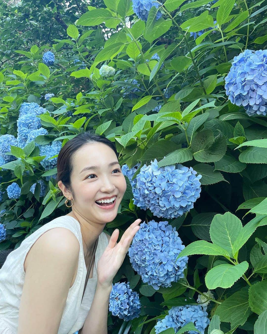 明星あゆみさんのインスタグラム写真 - (明星あゆみInstagram)「紫陽花が綺麗な季節に 鎌倉行ったのは初めて🐌🪻 小旅行な一日でした◎ . . . #鎌倉 #鎌倉あじさい #明月院 #鎌倉観光 #鎌倉紫陽花」6月21日 18時44分 - ayumi_myojo