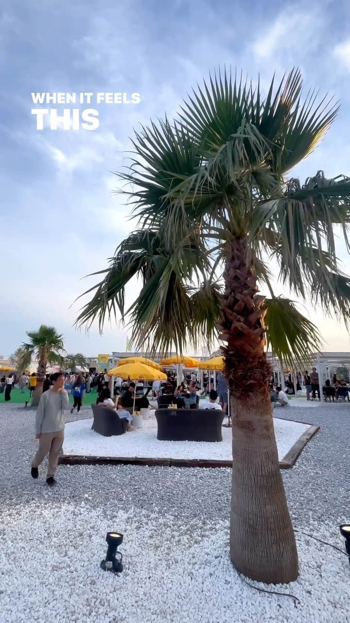 MIWAのインスタグラム：「@margarita_fiesta_japan 🌴❤️‍🔥 ㅤㅤㅤㅤㅤㅤㅤㅤㅤㅤㅤㅤㅤ ㅤㅤㅤㅤㅤㅤㅤㅤㅤㅤㅤㅤㅤ 雰囲気が最高な豊洲にある キラナガーデンでのFes🎼🧡 ㅤㅤㅤㅤㅤㅤㅤㅤㅤㅤㅤㅤㅤ やっぱり夏が一番好きっᯅ̈🩷 今年も思い出たくさん作ろっ♪🌺 ㅤㅤㅤㅤㅤㅤㅤㅤㅤㅤㅤㅤㅤ #ᴍᴀʀɢᴀʀɪᴛᴀ  #fes #キラナガーデン」