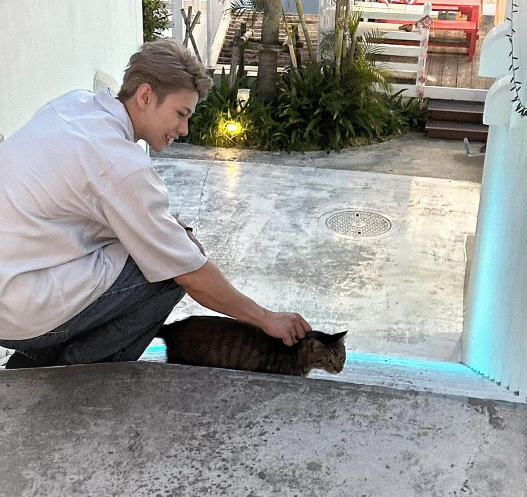 桜庭大翔さんのインスタグラム写真 - (桜庭大翔Instagram)「. 次どんな色にするか悩む . あ、そーいや沖縄ネコいっぱい居たから幸せだった . . . #ジム#gym #ハイトーン#沖縄#猫」6月21日 19時03分 - rava_hart