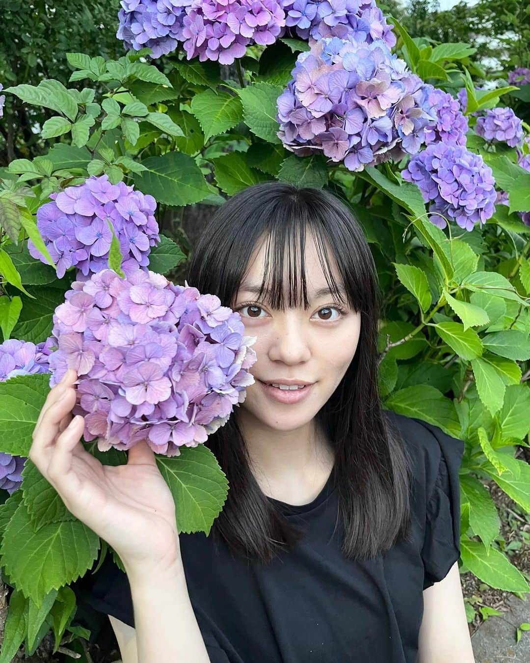 深尾あむのインスタグラム：「私「うわー紫陽花綺麗」 友達「え？紫陽花のアクセントちがくない？」 という会話になって紫陽花を平板で言うか、アにアクセントをつけるか、ジにアクセントをつけるかで討論が始まりました笑。 みんなはどうやって言う？ ちなみに私は平板読み🤚🏻」