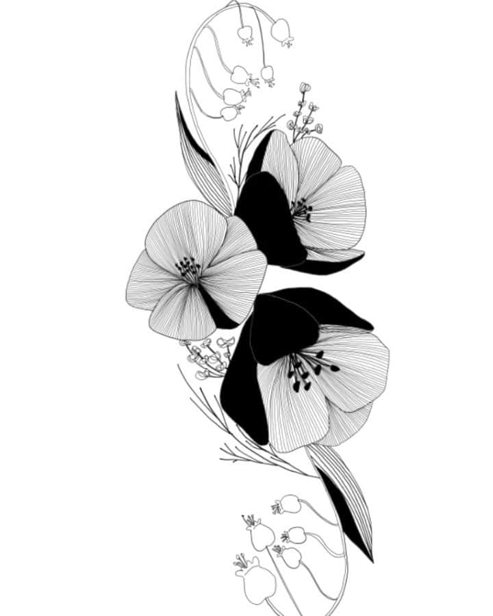 佐藤詩織のインスタグラム：「pen drawing Ⅴ  #drawing #pen #pendrawing  #art #illustration #timelapse #flower」