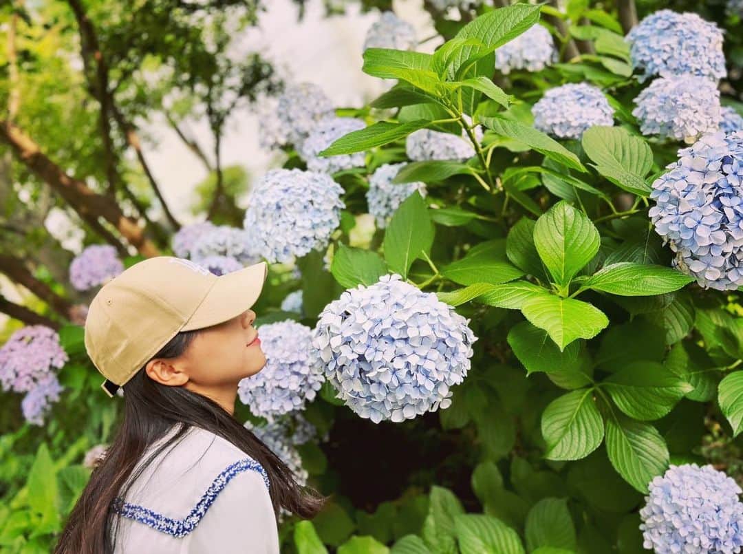 石原夕里朱のインスタグラム：「Hydrangea♡ ⁡ ふらっとお散歩してた道で ⁡ 紫陽花がいっぱい咲いてて綺麗やった✨ ⁡ 6月ももうすぐ終わるなぁ〜🥺 ⁡ やることたくさん📚 ⁡ #tokyo #hydrangea #photogenic #instagood #photooftheday #instadiary #紫陽花 #アジサイ #季節花 #紫陽花スポット #📷」