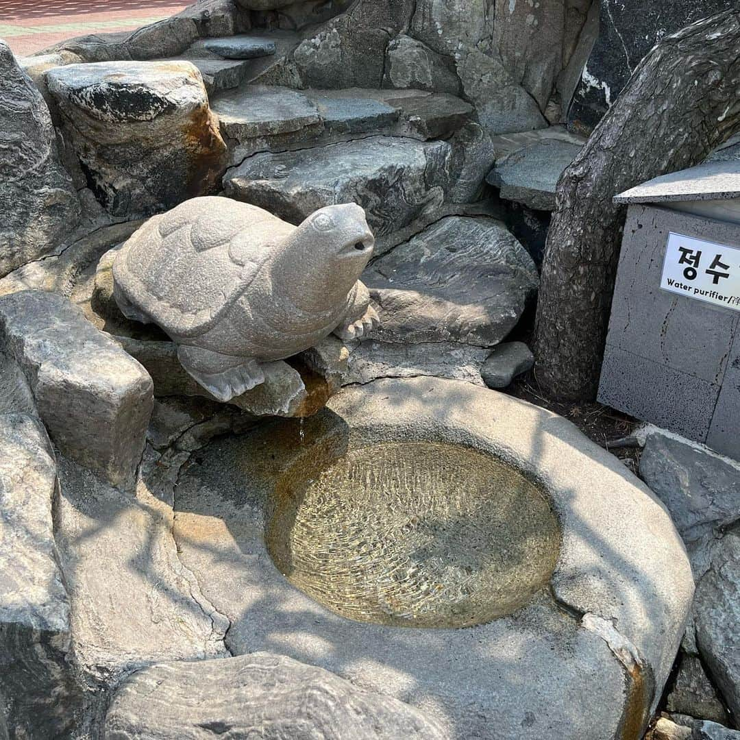 三浦由衣さんのインスタグラム写真 - (三浦由衣Instagram)「夏至。 げしげし。  🐢🐢🐢  📍海東龍宮寺 📍해동용궁사  「소원이 이루어지는 절　(願い事が叶う寺)」  釜山の大パワースポット(私調べ) 実は初めてだったのだけれど、エネルギー充電しまくりでした。 地球とも宇宙ともしっかり繋がれそうな場所🌏🛸  暑さ対策と、階段対策(スニーカーなど)は必須です🫠☀️  #海東龍宮寺 #해동용궁사」6月21日 12時06分 - miura_yui_