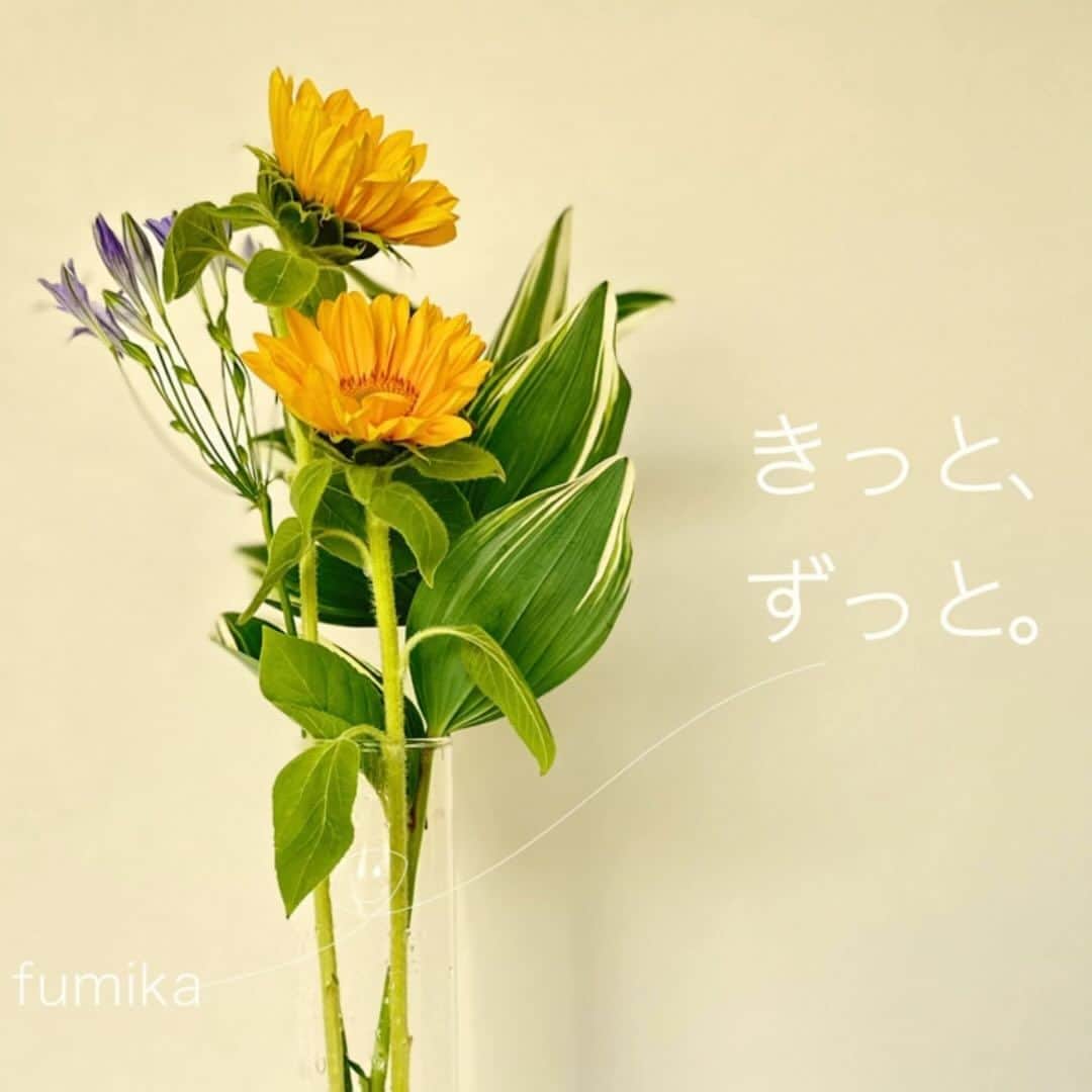 fumikaのインスタグラム