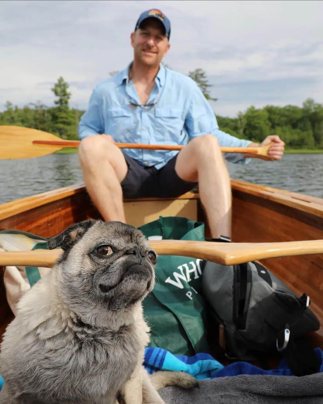 pugsofinstagramのインスタグラム：「On the water with @apugnamedmilton !」