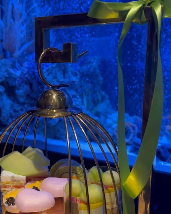 宮藤あどねのインスタグラム：「【深海でアフタヌーンティー？】 先日、新宿にある　@aquarium_jemare に峰不二子ボディのさーちゃんと @satori__fitness お茶会をして来ました。  観てくださいこの美しい魚🐠今回はメロン🍈をメインにした限定メニューでした🤍  雰囲気ばっちりで…ハイビスカスとローズヒップのお茶がすごく美味しかったです。  PR @aquarium_jemare #アクアリウムレストランnautilus #アクアリウムレストラン #アフタヌーンティーセット #東京アフタヌーンティー #上野グルメ　#新宿グルメ #宮藤あどね  #偶像 #女子会 #アイドル　#モデル #新宿ランチ」