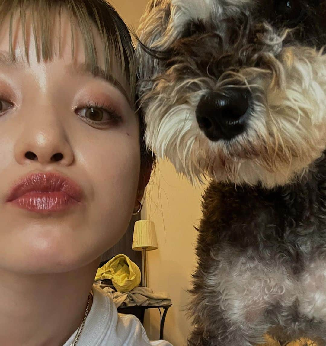 所谷舞さんのインスタグラム写真 - (所谷舞Instagram)「今日もイケメンだね🐶💏」6月21日 13時20分 - _mai_i_