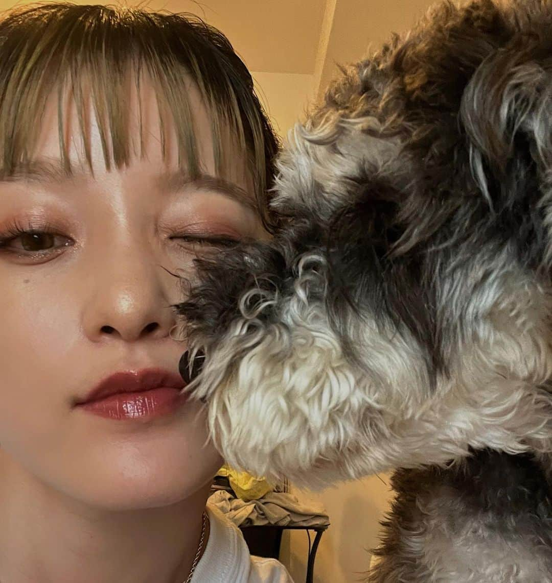 所谷舞さんのインスタグラム写真 - (所谷舞Instagram)「今日もイケメンだね🐶💏」6月21日 13時20分 - _mai_i_