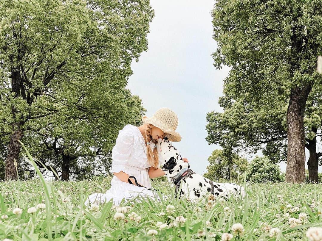 浅場佳苗のインスタグラム：「ご報告・新しい家族を迎えました！ 名前はドットです🐶🌿 ダルメシアンの男の子です。  この子は保護犬で推定7歳くらい。 最初のご家族の元を離れてから、 保健所、いくつかのおうちでの暮らしを経て、 ひょんなご縁でわが家にやってきました。  たくさん大変な想いをしてきた分、 これからはいっぱい楽しい時間を一緒に過ごそうね。 最期の日まで、精一杯お世話させてね。💐  ドットともども、 改めてよろしくお願いします！👩🐶🐶 #元保護犬 #ダルメシアン #きょうのドット #大型犬 #犬との暮らし #tokyo #japan #dancemusic #dancepop #edm #singer #songwriter #シンガーソングライター #フレキシタリアン #動物愛護 #サスティナブル #エコ #地球にやさしいミュージシャン #愛犬家 #浅場佳苗 #kanaeasaba」