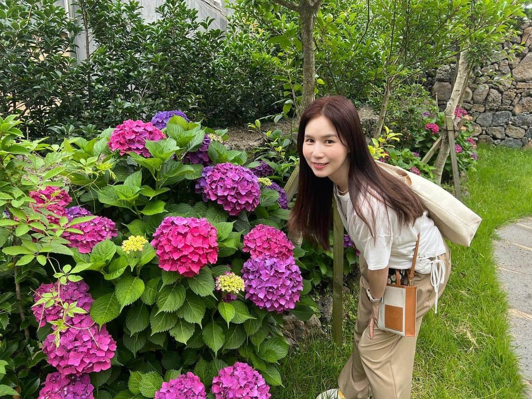 パク・シウンさんのインスタグラム写真 - (パク・シウンInstagram)「#수국 😍 #제주 #숙소앞 #눈호강 나가는길~그냥 지나칠수가없네요 🤣🩷」6月21日 15時27分 - si_eun_0