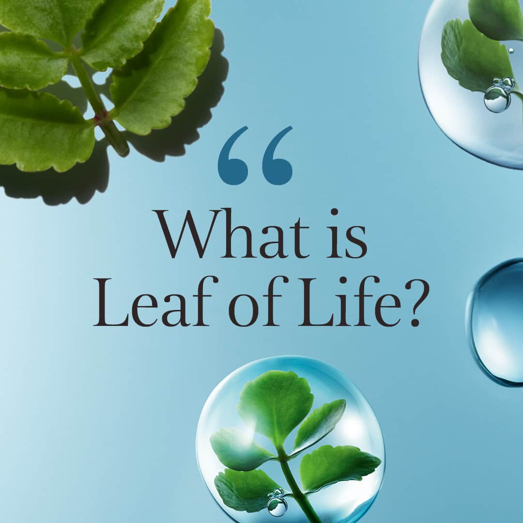 Clarins Australiaのインスタグラム：「What is the Leaf of Life?⁣ ⁣ It's a Madagascan plant which contains major skin health benefits, including keeping your skin looking and feeling hydrated and juicy fresh!⁣ ⁣ Find Leaf of Life in our newly renovated Hydra-Essentiel range.⁣ ⁣ #Clarins #Hydration #LeafOfLife」