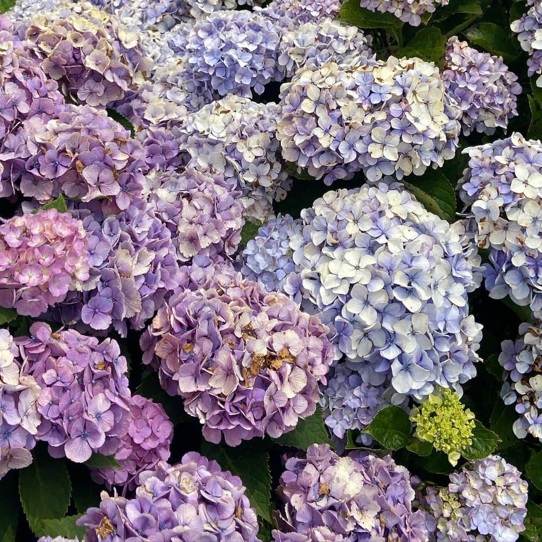 清水あす香のグルメインスタ