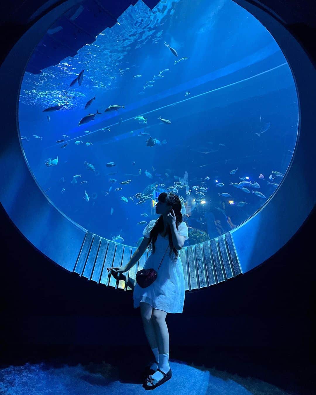 のインスタグラム：「沖縄にあるDMMかりゆし水族館に行って来ました🐟🤍 ・ 新しいカタチの”エンタテインメント水族館”って聞いて気になってたんだけど本当にたくさんの楽しいブースが盛り沢山でした✨ ・ 透明な床から水槽を覗くことが出来たり、ドクターフィッシュの池に手を入れられたり、動物コーナーがあってたくさんの珍しい動物を間近で見れたり…💭とにかく沢山の「楽しい」が味わえて満足度が凄かったです👀 ・ なんと初めてワニ🐊ナマケモノ🦥ミーアキャットまで見れちゃいました‪👍🏻 ̖́-‬ ペンギンとナマケモノが見れる水族館は沖縄では初らしいですっ✏️ ・ 私が水族館で一番大好きなブースといえばクラゲ🪼❕DMMかりゆし水族館のクラゲブースは幻想的で写真映えも間違い無しの素敵な空間でした🥲🤍 ・ 雨の日でも楽しめるので梅雨の時期や急な悪天候の日にもとーってもオススメの観光スポットです🏁 ・ 是非皆さんも沖縄に旅行に行かれた際はDMMかりゆし水族館に足を運んでみてください🔥 ・ @dmm_aquarium  #DMMかりゆし水族館 #沖縄 #水族館  #旅行 #沖縄旅行 #那覇 #夏休みの過ごし方」