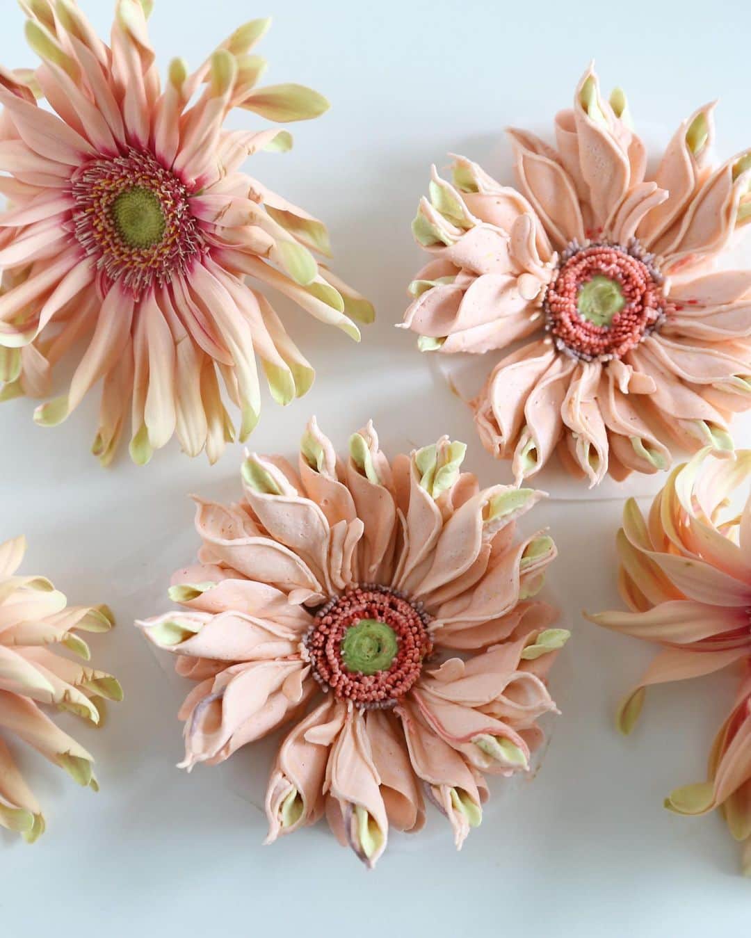 청담 수케이크 (atelier soo)さんのインスタグラム写真 - (청담 수케이크 (atelier soo)Instagram)「ㅡ Pink pastaGerbera  Italian meringue buttercream ☀️ #pastaGerbera #buttercreampiping」6月21日 17時15分 - soocake_ully