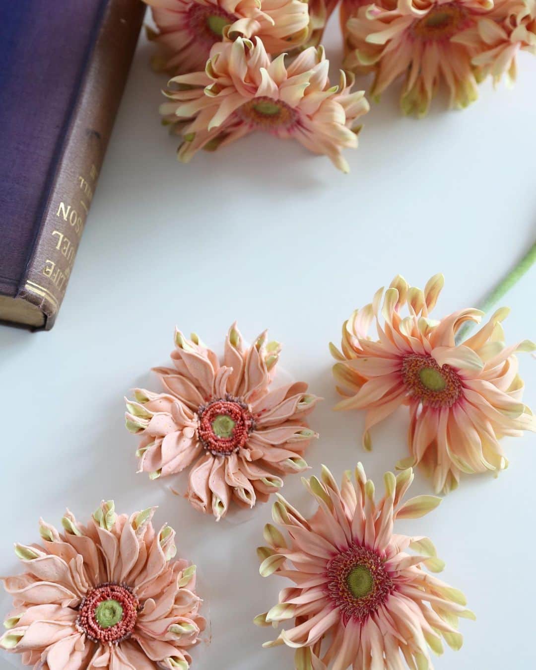 청담 수케이크 (atelier soo)のインスタグラム：「ㅡ Pink pastaGerbera  Italian meringue buttercream ☀️ #pastaGerbera #buttercreampiping」