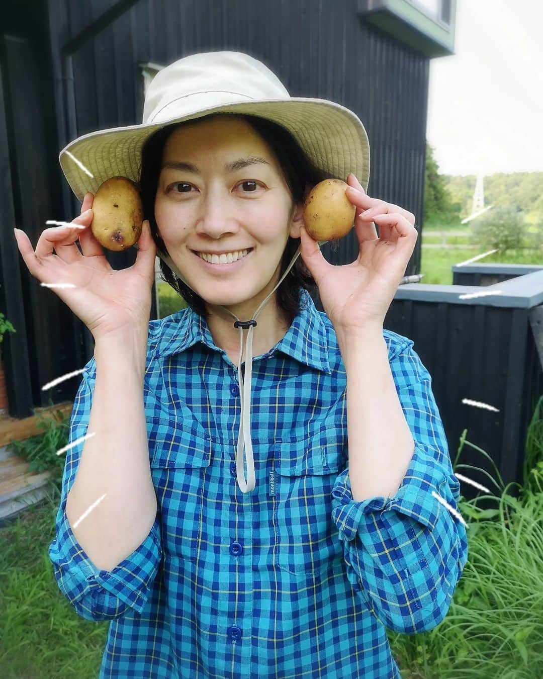 佐藤藍子のインスタグラム：「家にあったジャガイモ  増えるかなぁと思って植えた  増えた  ✨🥔  お馬🐴さんの堆肥の土  大きなミミズさんが住んでいて 良い仕事をしてくれています  箱にある白いのは、沖縄の島らっきょう これまた、余ったのを植えたら増えてた 今回は、おまけで掘り出してしまった  本格的には出来ないけど やはり収穫は嬉しいし 自然のありがたさを知る  あ、にゃんこ🐱は、カイ君 後ろ姿のにゃんこ🐱は、クイちゃん  #ジャガイモ#島らっきょう#馬の堆肥 #猫#catsofinstagram #cats#aikosato#佐藤藍子」