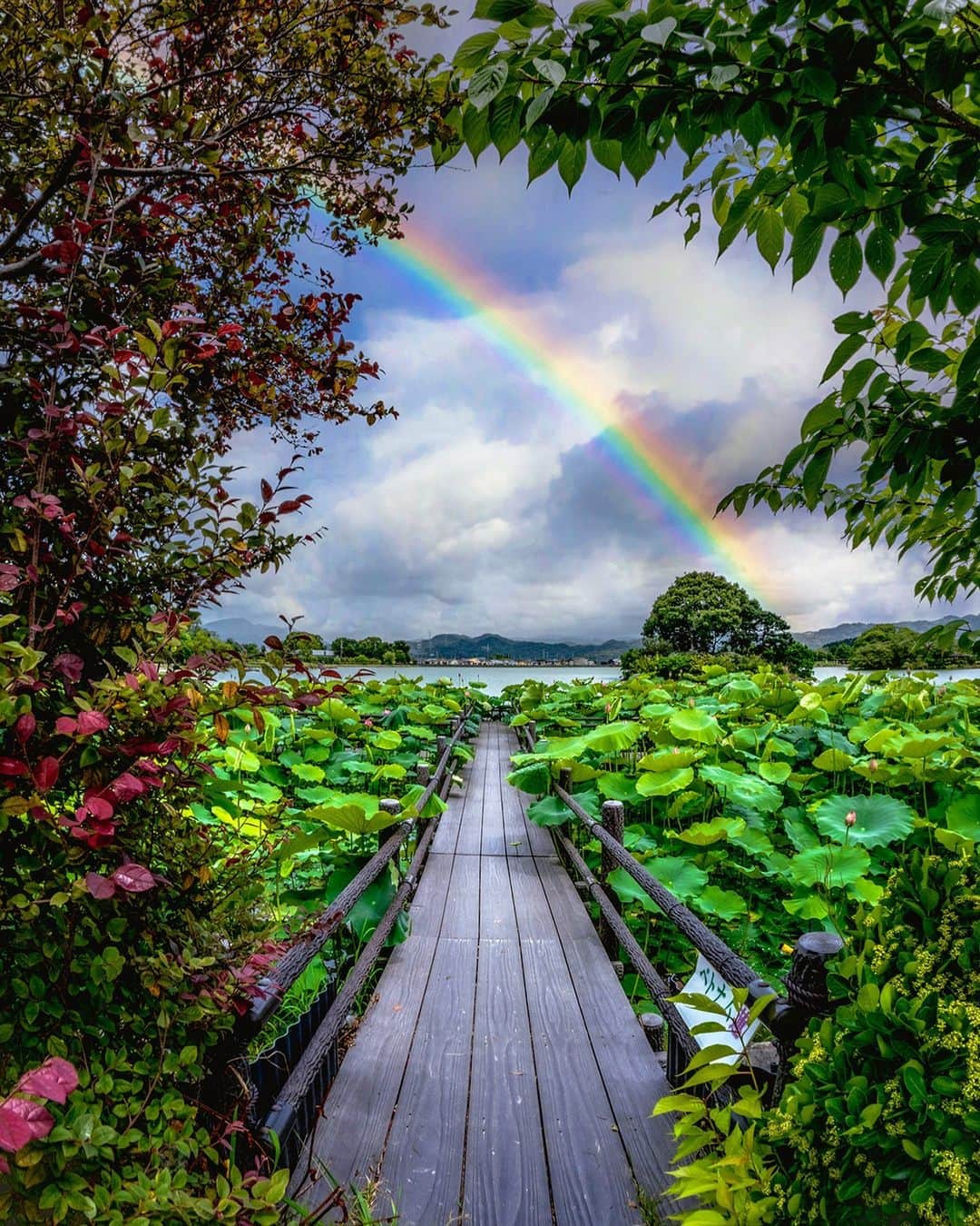 JALのグルメインスタ