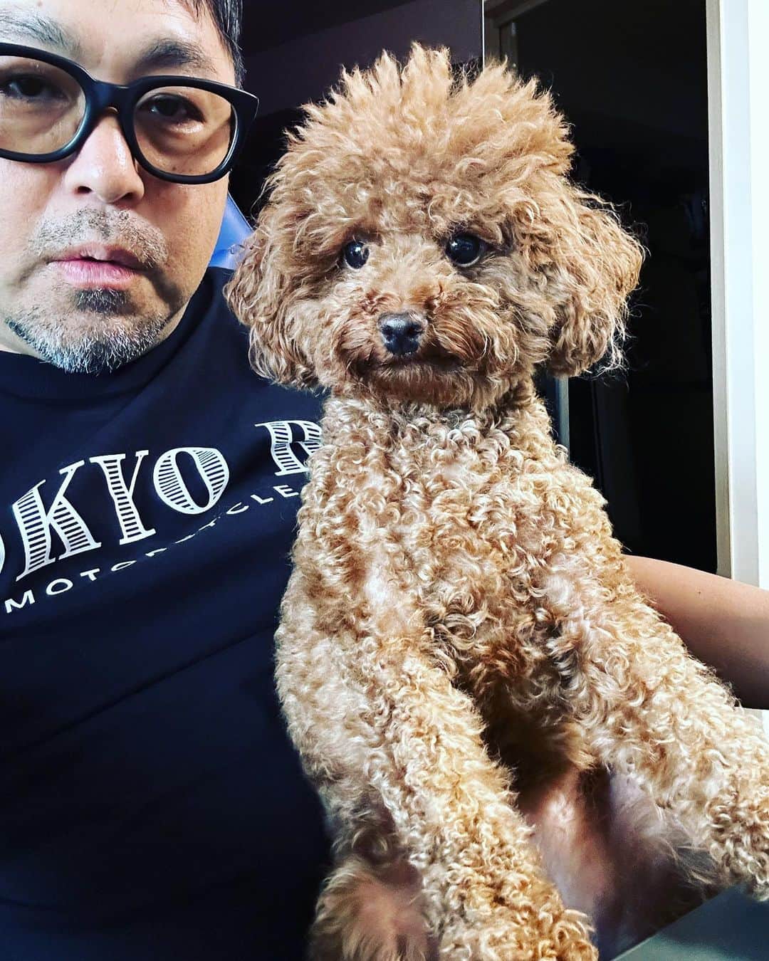 マッコイ斉藤のインスタグラム：「ククちゃん会議参加中」