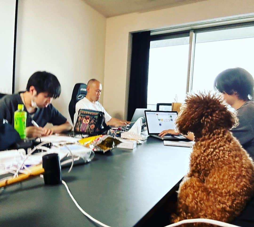 マッコイ斉藤のインスタグラム：「ククちゃん会議に参加中 今回は特に言う事ないそうです。」