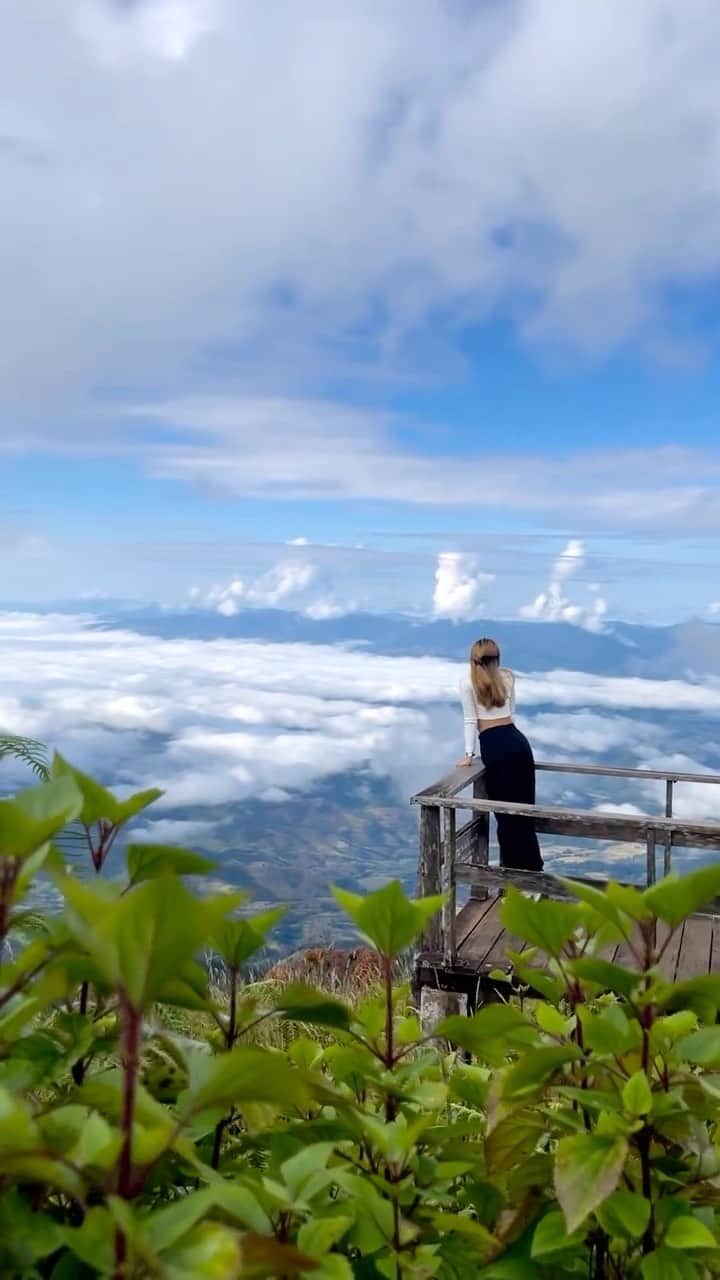 タイ国政府観光庁のインスタグラム：「. 【今週の #WhatNewThailand 🇹🇭🔍】  #今こそタイへ 行ってみたい！と思った方は コメント欄に【⛰】をどうぞ♪  今月のテーマ「グリーンツーリズム」から 「ドイ・インタノン国立公園」の圧巻の眺めをPick Up ⠜*  タイで最も高い山であるドイ・インタノンは、海抜2,565mで、ヒマラヤ山脈の外れに位置しています✨　周辺は国立公園に指定され、素晴らしい景観で人気のスポットです🥰 山頂付近は平均気温12℃程度と、一年中涼しいため、防寒対策はお忘れなく🍃  公園内には、タイ有数と名高いメーヤ滝など、多数の滝が点在💙 また静けさが広がるキューメーパン自然遊歩道は、熱帯雨林が3km続くハイキングコースで、パワースポットとしても知られています🚶‍♀️💨  チェンマイ市内からは、車で2時間程でアクセス可能🚗  エコツアーを楽しみたい方には、ぜひ一度足を運んでいただきたいです🫶  @ms.ploydao さん、コップン・カー🙏✨  ★参考になった！と思ったら、あとで見返せるように、 画像右下にある保存ボタン🔖をタップ！  #repost #タイ #チェンマイ #ドイインタノン国立公園 #ドイインタノン #グリーンツーリズム #エコツアー #自然が好き #自然が好きな人と繋がりたい #こんなタイ知らなかった #もっと知りタイ #はじめてのタイ #タイ旅行 #チェンマイ旅行 #旅好きな人と繋がりたい #旅行好きな人と繋がりたい #海外旅行 #thailand #chiangmai #chiangmaitrip #doiinthanonnationalpark #ecotourism #amazingthailand #thailandtravel #thailandtrip #thaistagram #lovethailand #amazingnewchapters」