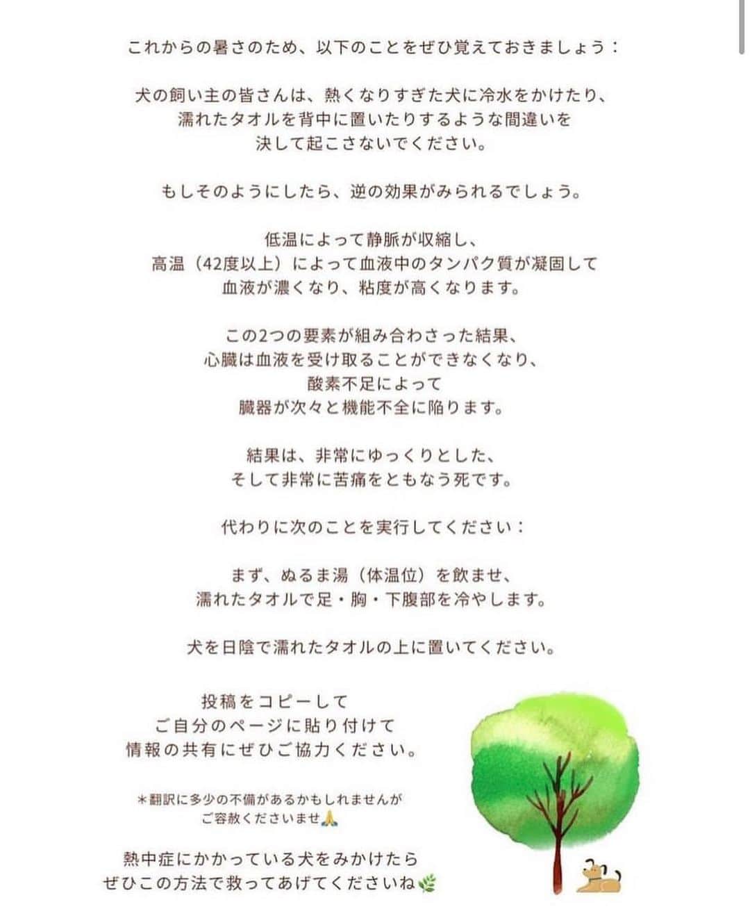 滝裕可里のインスタグラム：「熱中症注意🥵⚠️ #拡散希望  ワンコも人も熱中症にならないように 対策することが一番重要ですが、、  熱中症になってしまった時の対応も 知っておくことが大切ですよね💡  デンマークのドッグトレーナー ヴィベケリーセ先生から 犬が熱中症になった時に 間違った対応、するべき対応についての メッセージをシェアします！  多くの飼い主さんに知ってもらえるように 拡散よろしくお願いいたします🐕🐕🐕  #熱中症 #犬 #犬のいる暮らし」