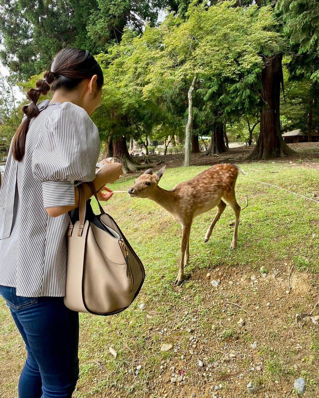 内田侑希のインスタグラム：「念願の鹿せんべい🫎♡ 喜んでくれたかな❣️」