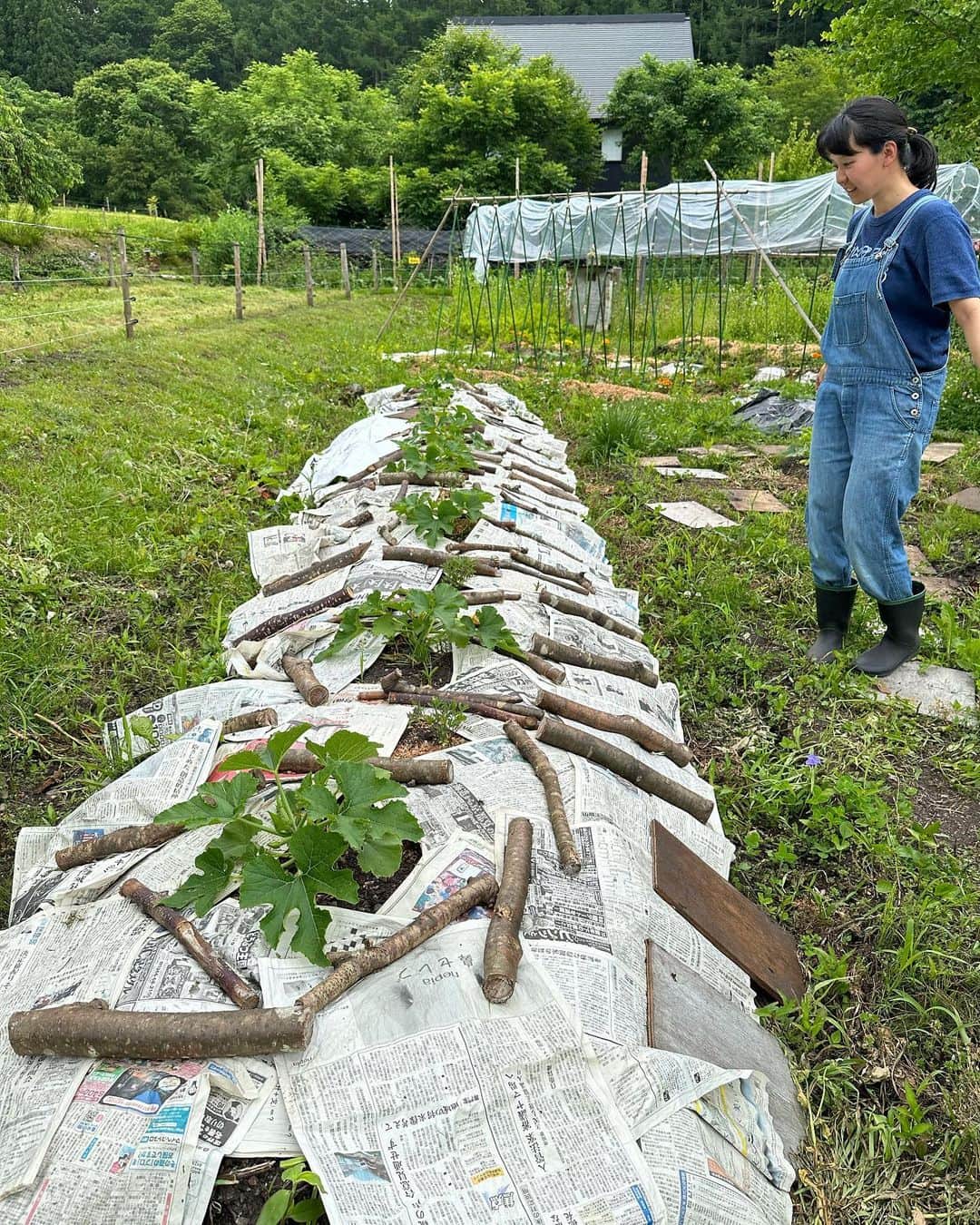 早坂香須子さんのインスタグラム写真 - (早坂香須子Instagram)「夏至のアーシング✨✨✨✨  ニュージーランドでのパーマカルチャーWWOOF体験から、自然農で稲作プロジェクトをスタートした森のご近所さん・ハルちゃんの田んぼに入らせてもらった。  湧水と泥と虫たちと、最高のヒーリング体験をありがとう🌾✨💚🌱✨  ハルちゃんの実験畑では、美しい星型の花ボリジ（ルリジサ）と出会った。勇気を与えてくれる薬草ボリジは、化粧品原料として幾度となく使ってきた素材だったけど、顔を合わせて出会い直した気持ち。  森に暮らしても畑や田んぼまでは… と思っていたけれど、素敵なローカルの皆様のおかげで、夢広がってます✨」6月21日 20時10分 - kazukovalentine