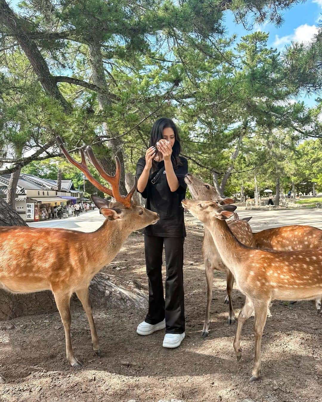 Marika Kajiwaraのインスタグラム：「小学生ぶりの奈良公園🦌🧡 鹿せんべい持ってたら みんな追いかけて来るし噛んでくるし 強めの頭突きしてくるし 可愛すぎた🥺💓💓 ＊ やっぱり動物がいちばんの癒し✨ ＊ ＊ ＊ #japan #奈良 #奈良公園 #旅行 #女子旅 #タビジョ #trip #tabijyo #traveler #marika_trip」