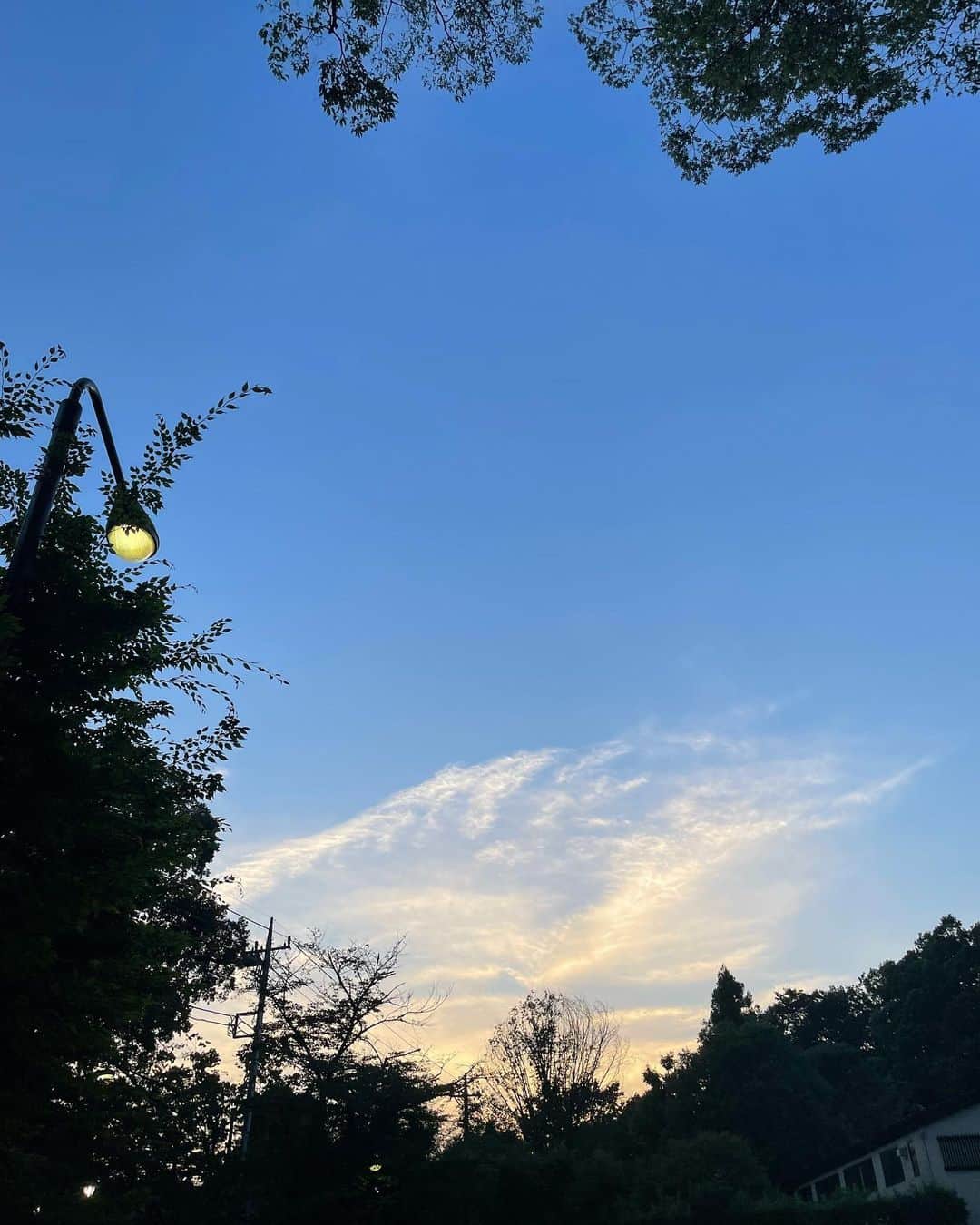 のインスタグラム：「サシャの旅立ちは快晴でした 傍らには虎と龍 さらにその横には恵比寿さまたち  虎年の姉に 抱っこされながら旅立ち その様子を見守ったのが辰年の私  私たちに代わり虎と龍が 旅路を守ってくれそうです しかも恵比寿さまたちのお陰で 何不自由なく  皆さま温かいメッセージ ありがとうございました😌」