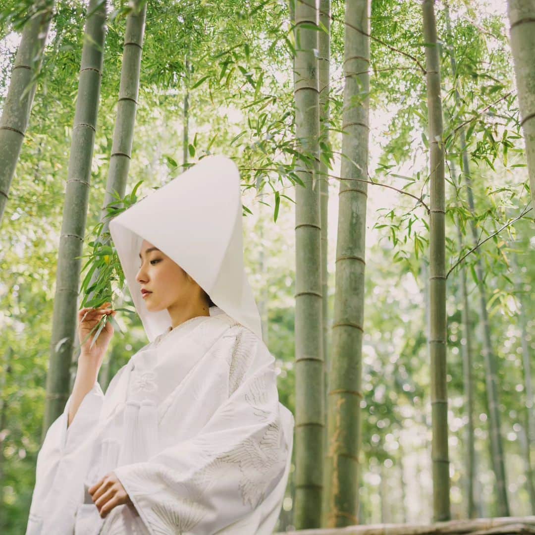 和婚スタイルさんのインスタグラム写真 - (和婚スタイルInstagram)「青々とした竹林の中に佇む 新婦様の美しさに息を呑みます  . 竹林での撮影も各エリアご提案させていただきます！ ぜひご相談くださいませ🤗  . 【日本の美しい結婚式を紡ぐ】 @wakonstyle  −−−−−−−−−−−−−−− #和婚スタイル  #和婚スタイル花嫁 #神社  #神前式 #仏前式 #祝言 #竹林 #和装ロケ撮 #2023夏婚  #2023秋婚 #2023冬婚  #花嫁  #ウェディング #結婚式  #和装 #着物  #白無垢  #結婚式コーデ  #和装婚  #前撮り  #和装前撮り #神社挙式 #白無垢 #色打掛 #引振袖」6月21日 20時27分 - wakonstyle