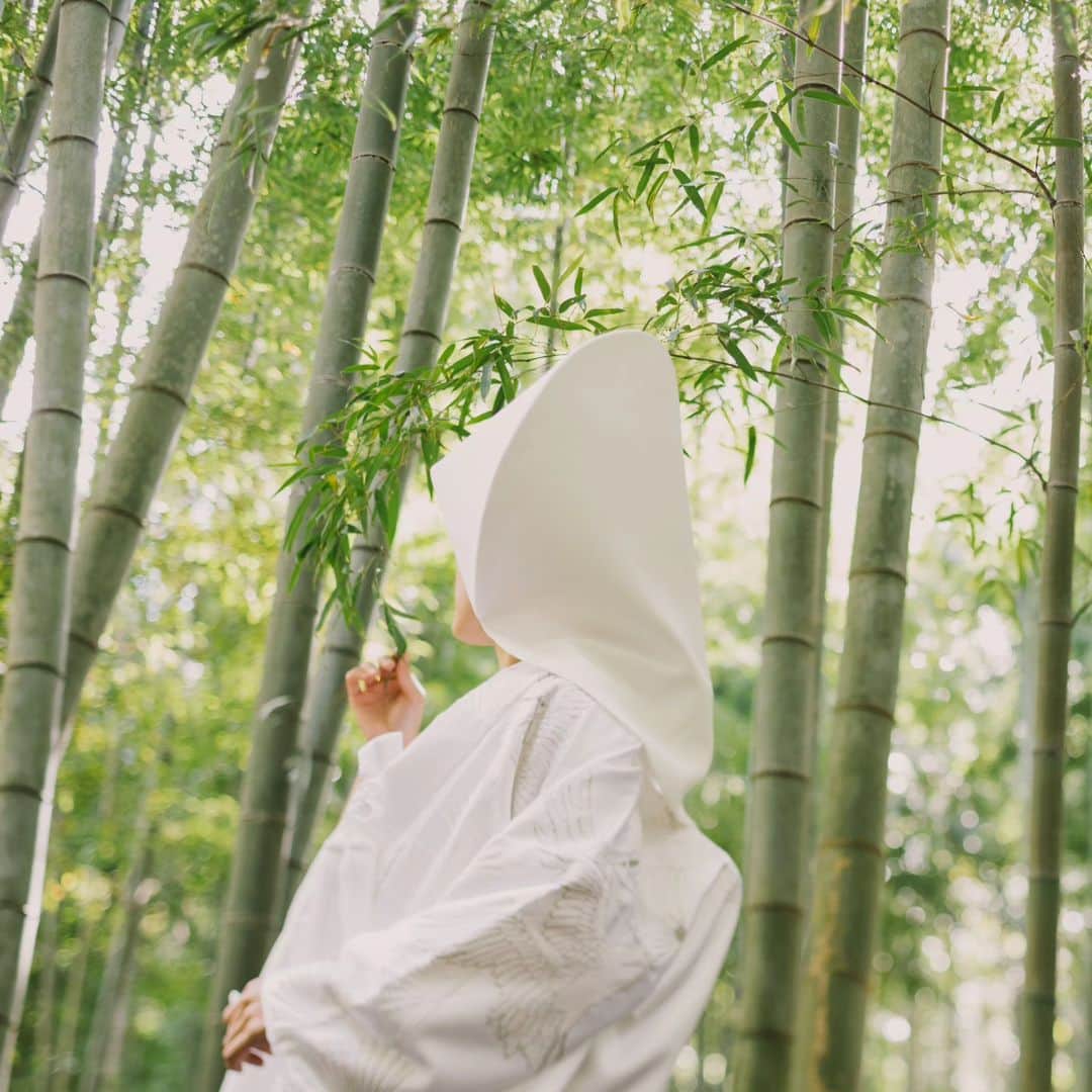 和婚スタイルさんのインスタグラム写真 - (和婚スタイルInstagram)「青々とした竹林の中に佇む 新婦様の美しさに息を呑みます  . 竹林での撮影も各エリアご提案させていただきます！ ぜひご相談くださいませ🤗  . 【日本の美しい結婚式を紡ぐ】 @wakonstyle  −−−−−−−−−−−−−−− #和婚スタイル  #和婚スタイル花嫁 #神社  #神前式 #仏前式 #祝言 #竹林 #和装ロケ撮 #2023夏婚  #2023秋婚 #2023冬婚  #花嫁  #ウェディング #結婚式  #和装 #着物  #白無垢  #結婚式コーデ  #和装婚  #前撮り  #和装前撮り #神社挙式 #白無垢 #色打掛 #引振袖」6月21日 20時27分 - wakonstyle