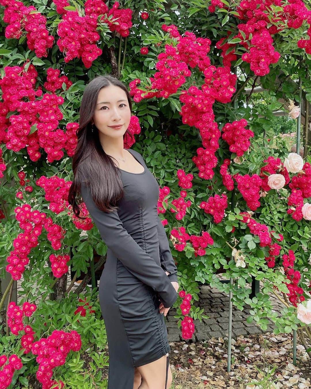 青山千夏さんのインスタグラム写真 - (青山千夏Instagram)「やっぱり赤が1番好き🌹  #茨城フラワーパーク #フラワーパーク #バラ園 #バラ #ibarakiflowerpark  #flowerpark #rosegarden #rose」6月21日 20時23分 - chinatsu_aoyama0819