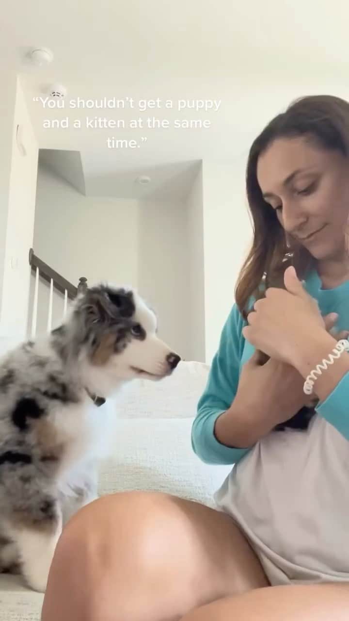 Cute Pets Dogs Catsのインスタグラム：「Their colorings make them look like siblings! 😲  Credit: awesome @finn_the_aussie  Check them out. 😊  For all crediting issues and removals pls DM .  Note: we don’t own this video, all rights go to their respective owners. If owner is not provided, tagged (meaning we couldn’t find who is the owner), pls DM and owner will be tagged shortly after.  #chat #neko #gato #gatto #meow #kawaii #nature #pet #animal #instacat #instapet #mycat #catlover #cutecats #cutest #meow #kittycat #topcatphoto #kittylove #mycat #instacats #instacat #ilovecat #kitties #gato #kittens #kitten」