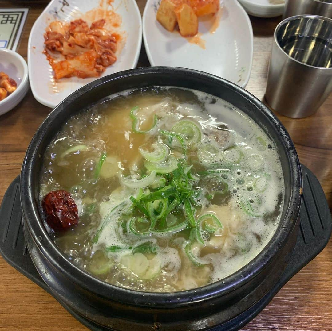 片岡メリヤスさんのインスタグラム写真 - (片岡メリヤスInstagram)「한국이 너무 즐거웠다. 다 맛있었어. 한국 사람들 고마워요. 또 오고 싶어요. ❣️❣️❣️  キンパ、デジカルビ(焼肉屋の看板)、コンナムルクッパ、冷麺とチヂミと饅頭、参鶏湯、カンジャンケジャン、トッポッキ、コングクス、MOM‘S TOUCH 、タッカンマリ。 全部美味しかった😋」6月21日 20時40分 - kataokameriyasu