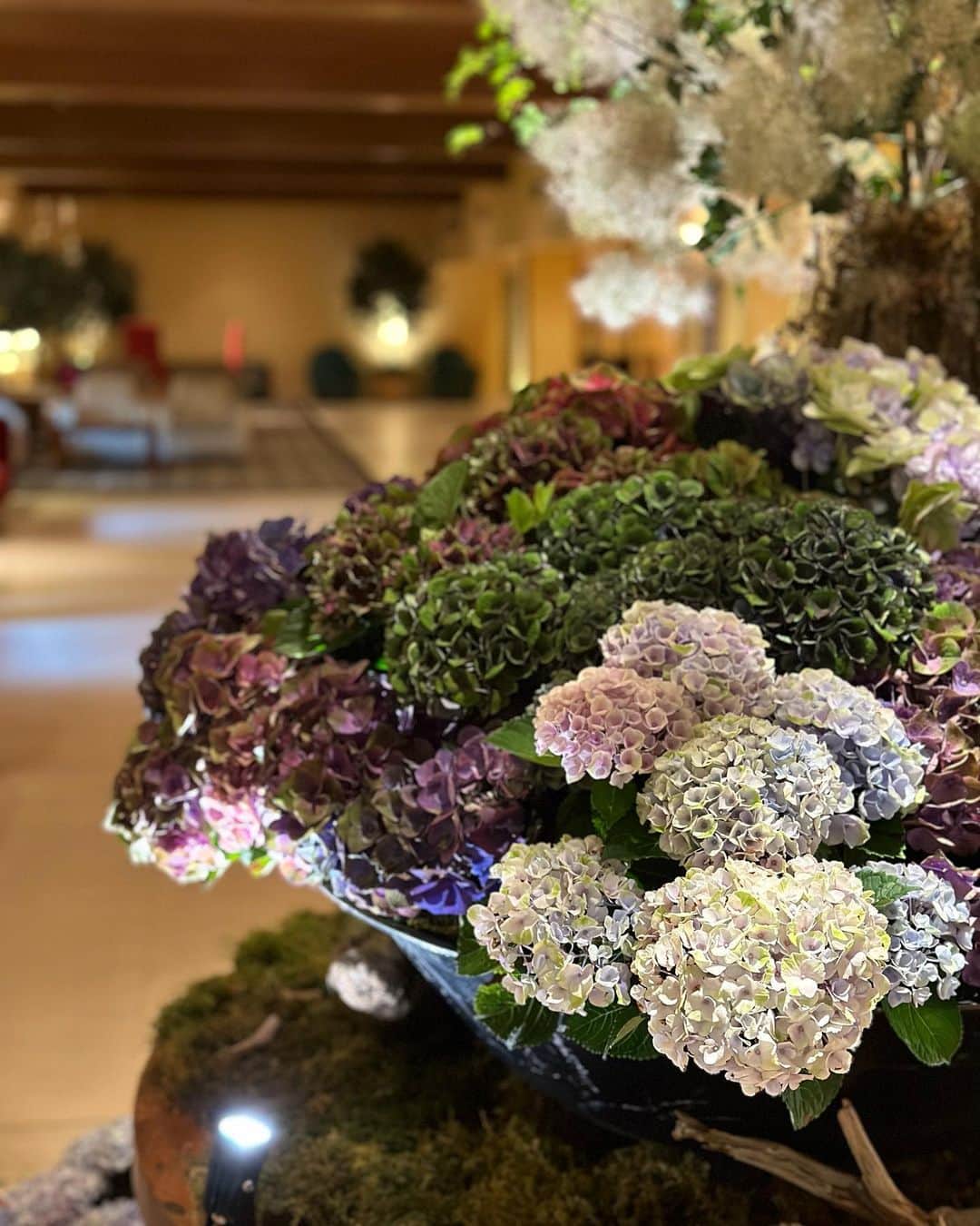 吉橋柚花のインスタグラム