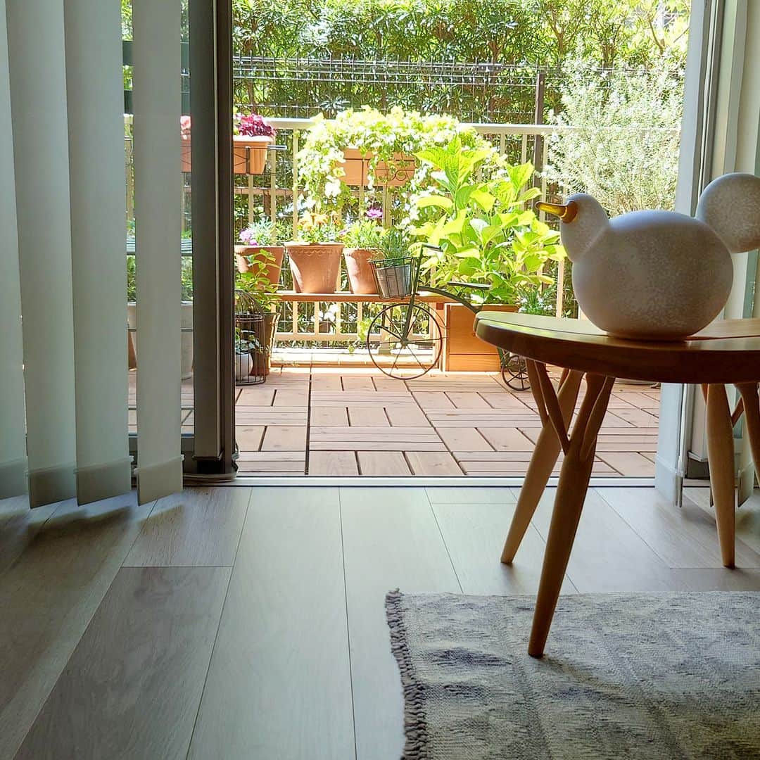 ムクリ［mukuri］さんのインスタグラム写真 - (ムクリ［mukuri］Instagram)「シンプルでありながら、心惹かれずにはいられない魅力。我が家のアルテックの家具〜都内マンションで北欧インテリアを楽しむ暮らし（comfortablelife_7さん）  家のあちらこちらでアルテックの家具を 使っているhappyさん。  アルテックは 北欧家具の代表的なブランドの一つ。  デザインやカラーがシンプルで サイズもそれほど大きくなく、 限られたスペースに フィットするものが多いのも魅力です。  リビング、ダイニング、寝室、 その他のスペースで 場所ごとに使っている アルテックの家具について お伺いいたしました。  前回のコラムでご紹介いただいた ヴィンテージ家具とのバランスにも 注目してご覧くださいね♩  @comfortablelife_7 さん ありがとうございました！  （編集：kaori）  ▶詳細はプロフィールのURLよりご覧ください プロフィールはこちらから @mukuri_official ・  –––––––––––––––––– ムクリ公式アカウントでは くらしの中にある"好き"や"コダワリ"を毎日お届け。  インテリア、整理収納から家づくりなど 日常で参考になる情報から サラッと読める短編コラムまで ご紹介していますのでフォローしてぜひご覧ください。 ▶︎ @mukuri_official ・  「 #ムクリ 」のタグもいつも楽しく拝見しています☺️  オリジナルブランドは @daily_mukuri  くらしの中にあったらいいいな、 そんな商品を企画・制作、集めています。 ––––––––––––––––––  #artek #アルテック#リビングインテリア #北欧インテリア #scandinaviandesign #北欧家具 #北欧ヴィンテージ #vintagefurniture #北欧雑貨#マンション暮らし #観葉植物のある暮らし #グリーンのある暮らし #植物のある生活 #マイホーム #myhome #部屋作り #リサラーソン #ミナペルホネン #くらしの編集#ムクリ」6月21日 21時05分 - mukuri_official
