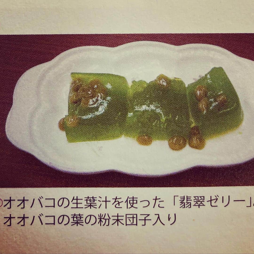 三宅洋平のインスタグラム：「オオバコの翡翠ゼリーを寒天で作りたい。  『食べる薬草事典』村上光太郎 (農文協)」