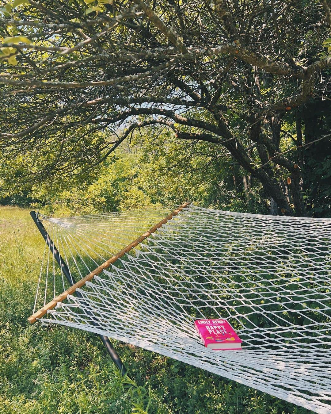 Kalyn Nicholsonのインスタグラム：「summer solstice mood and quote board 🌞   “And so with the sunshine and the great bursts of leaves growing on the trees, just as things grow in fast movies, I had that familiar conviction that life was beginning over again with the summer.” ― F. Scott Fitzgerald  “...This is the solstice, the still point of the sun, its cusp and midnight, the year’s threshold and unlocking, where the past lets go of and becomes the future; the place of caught breath, the door of a vanished house left ajar...” ― Margaret Atwood  “June has never looked more beautiful than she does now, unadorned and honest, vulnerable yet invincible.” ― Marie Lu  new vlog and coffee talk in theme with the season dropping tomorrow! ✨」